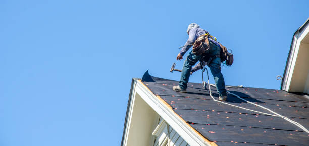 Best Residential Roof Replacement  in Blue Hills, CT